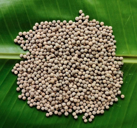 White pepper