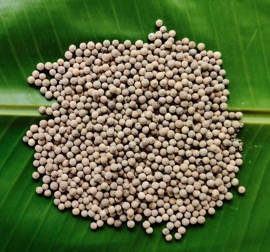 White pepper